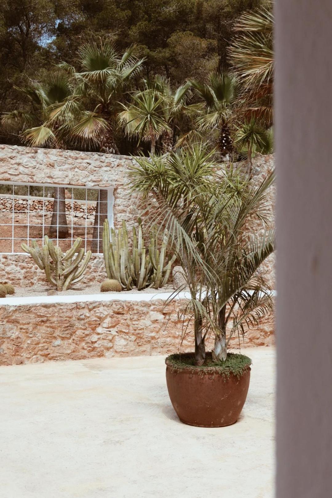 Pure House Ibiza Hotel Sant Jordi de ses Salines Exterior foto